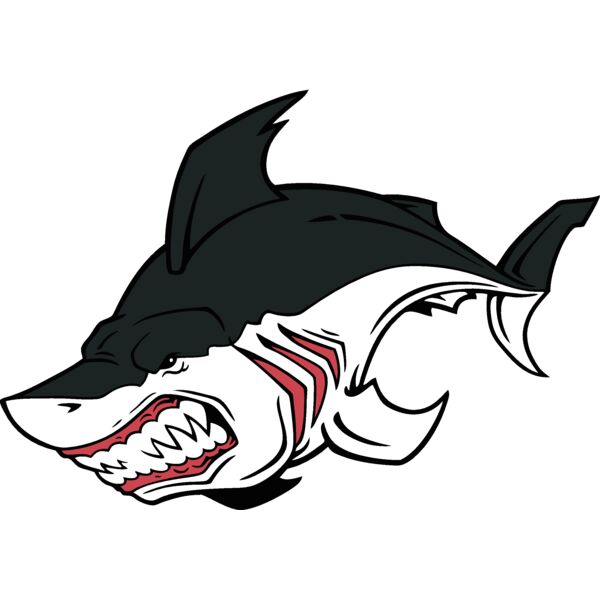 es2shark002clr Thumbnail